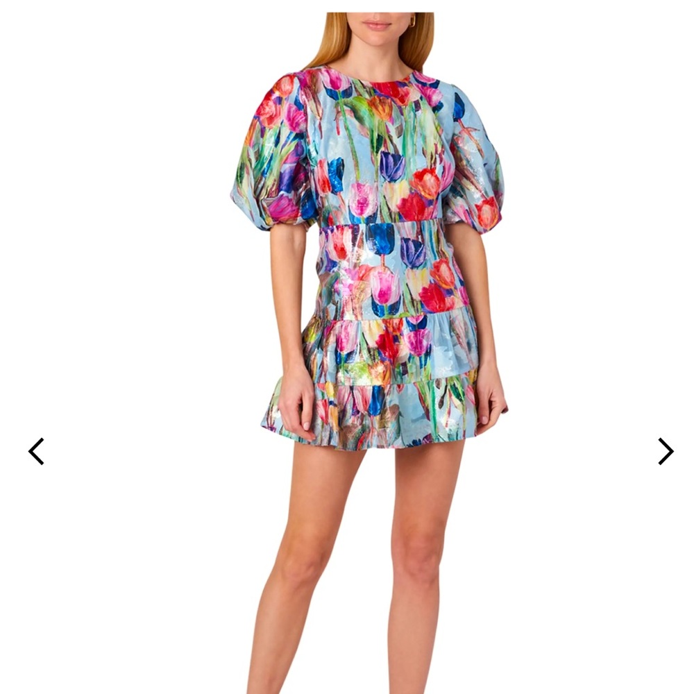 BWT Milly Arlette Tulip Dress Size 12